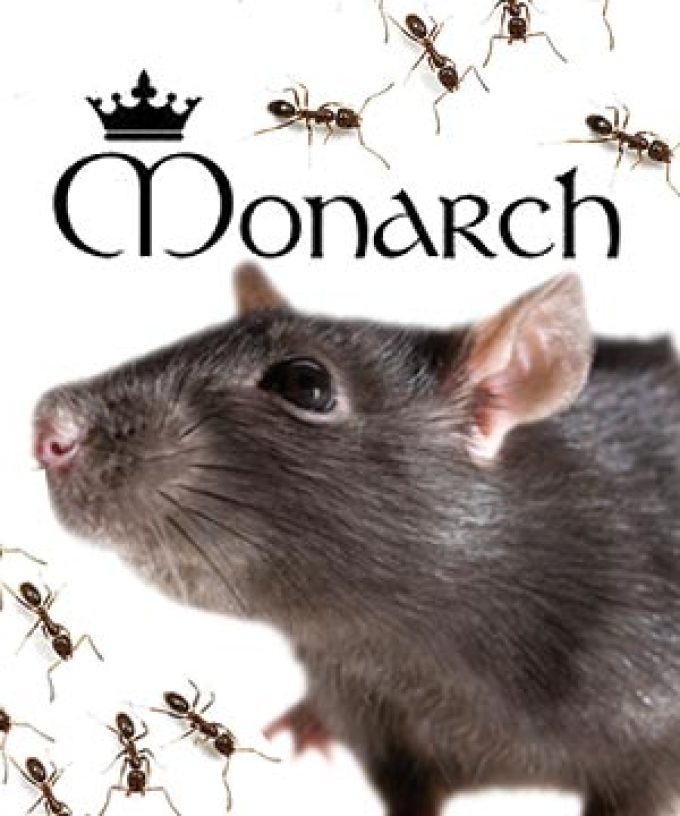Monarch Pest Control Services Ltd